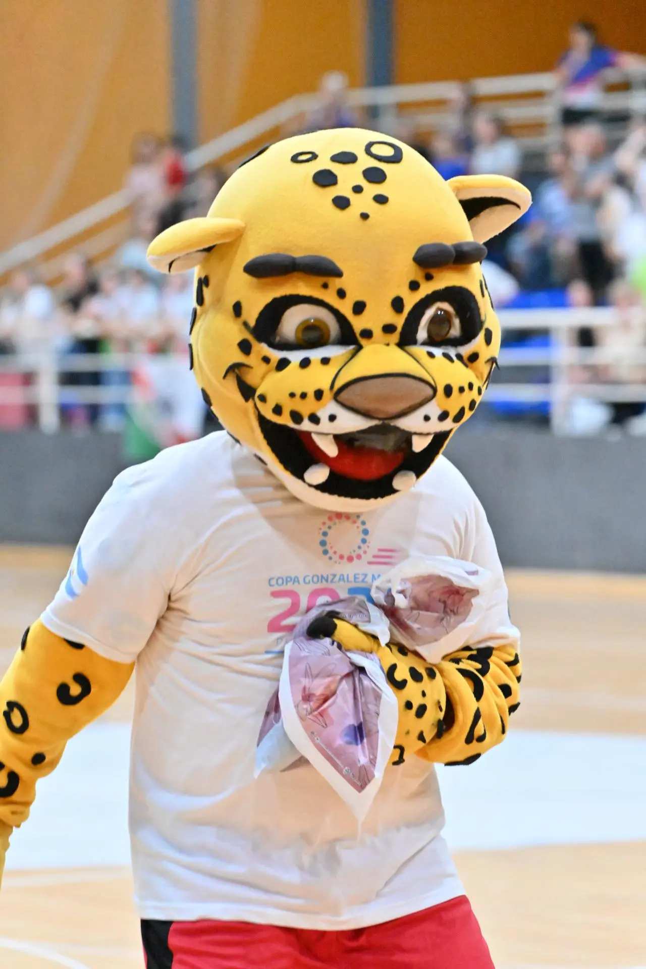 Imagen de la Copa Apertura 2025 (11)